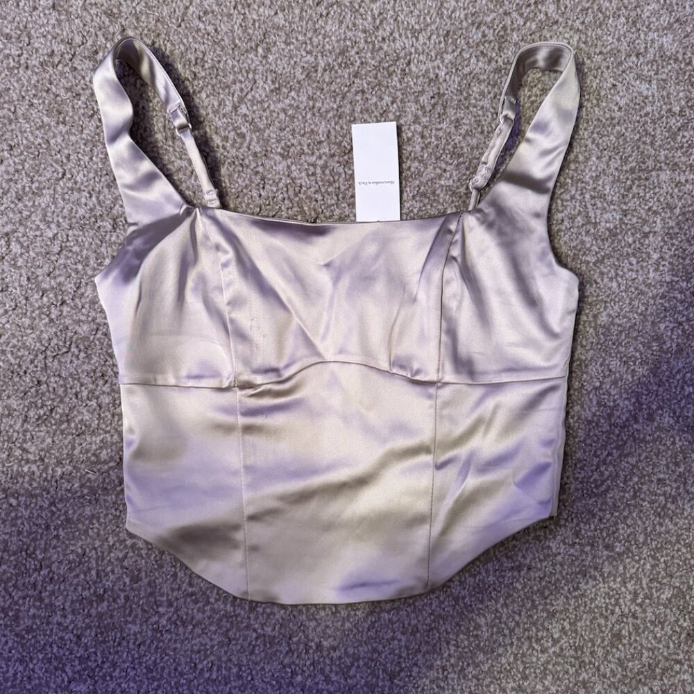 Abercrombie and Fitch Gold Corset Top - NWT MEDIUM